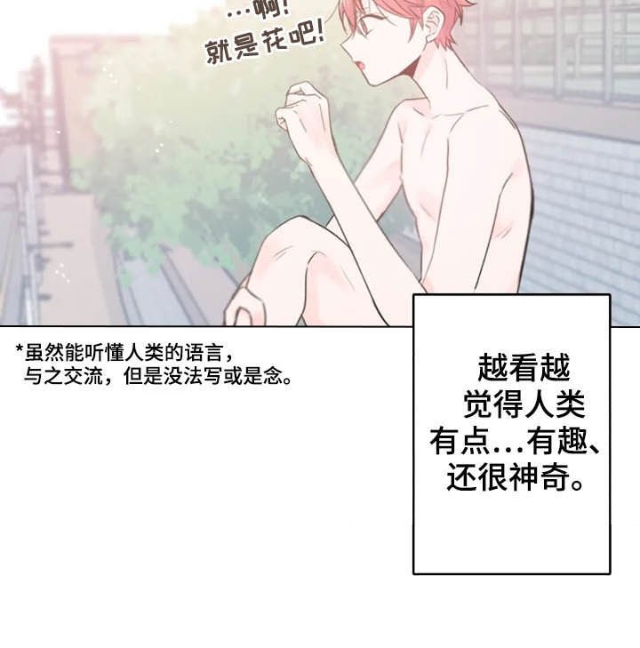 第18章：一定要毕业