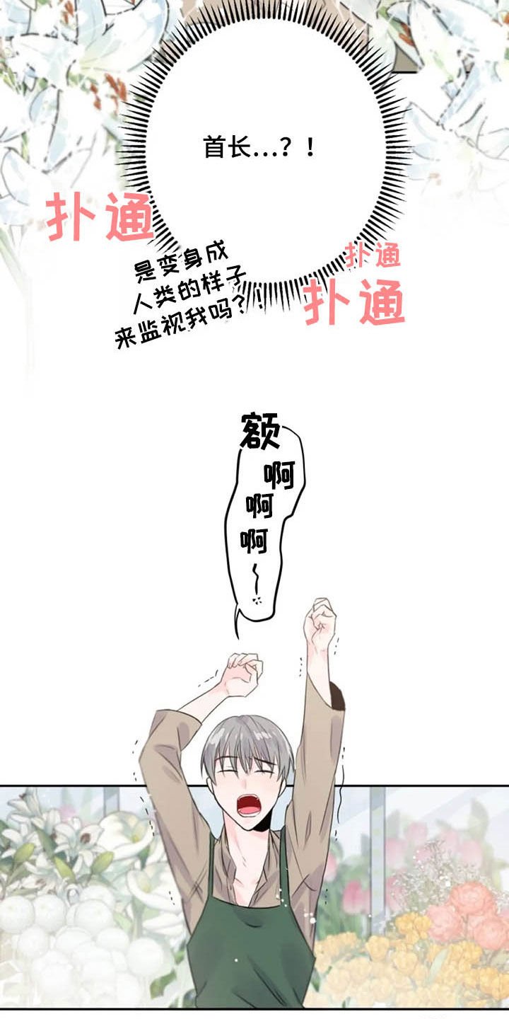 第19章：长得像的人