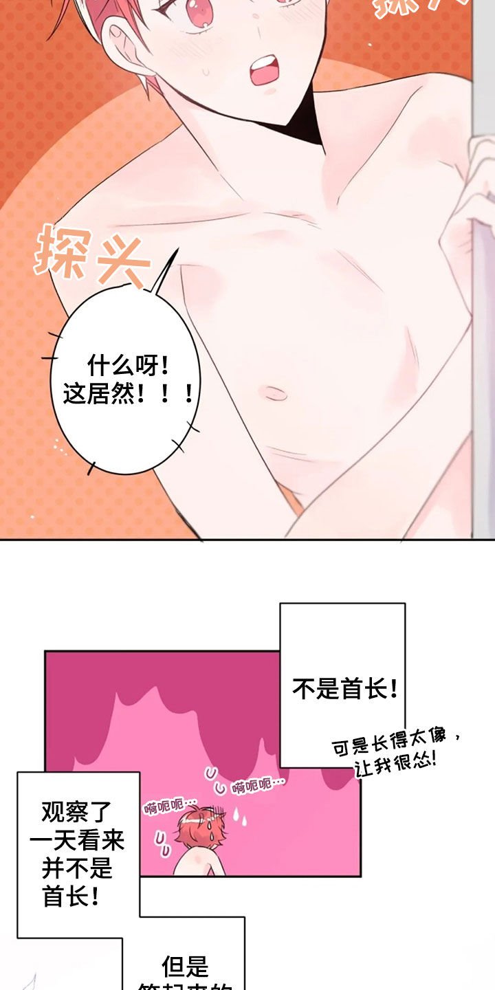 第19章：长得像的人