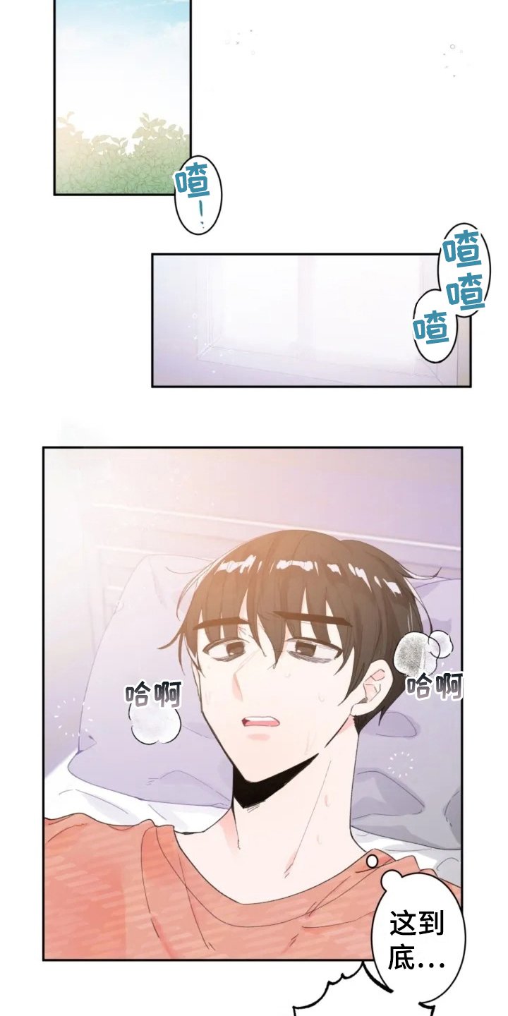第2章：摆布