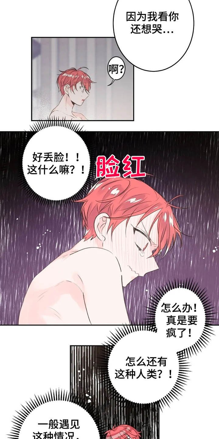 第21章：我来帮你