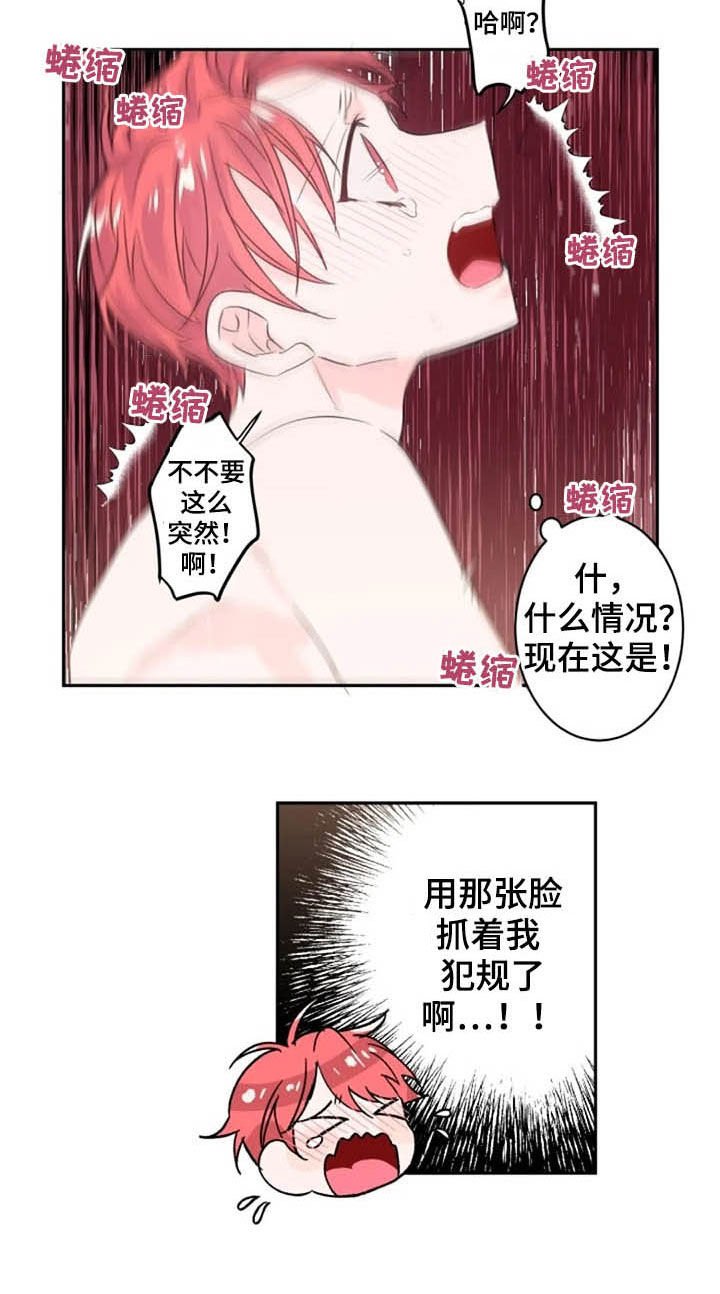 第21章：我来帮你