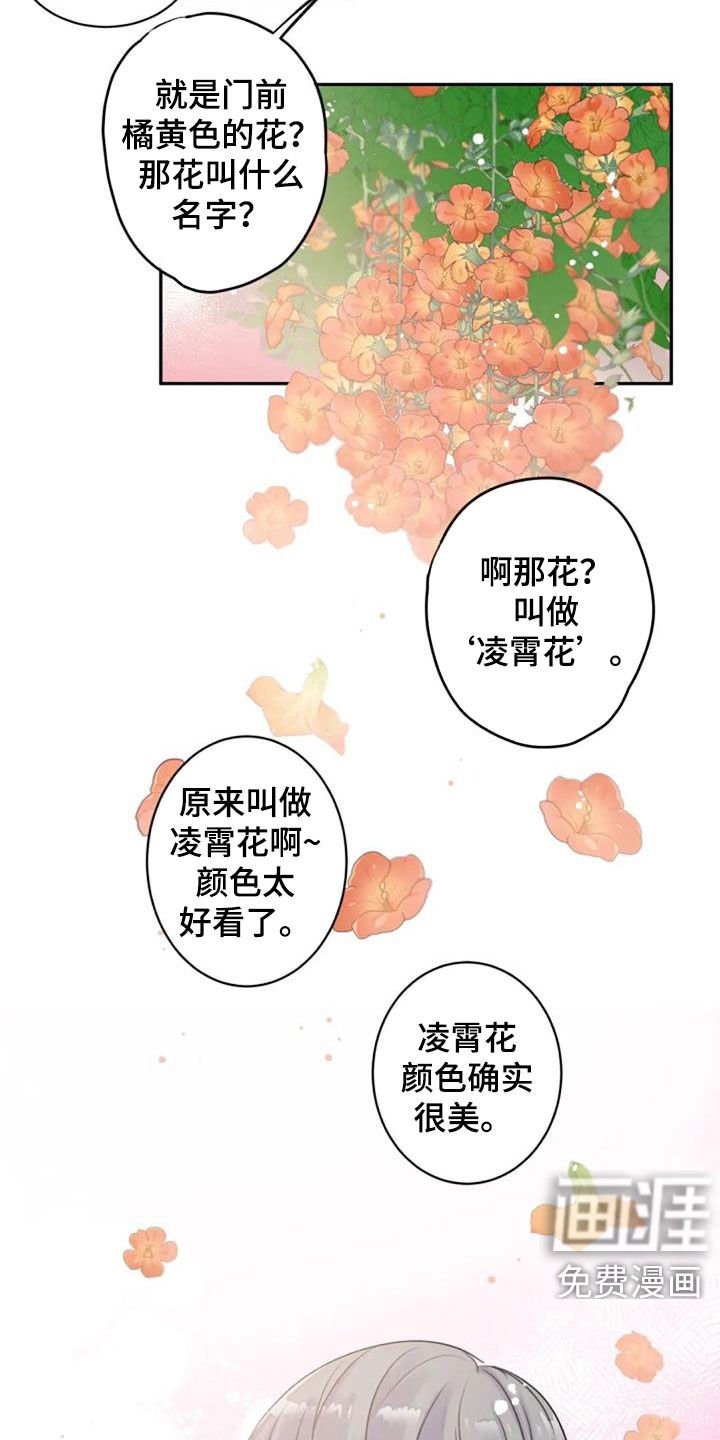 第25章：花语