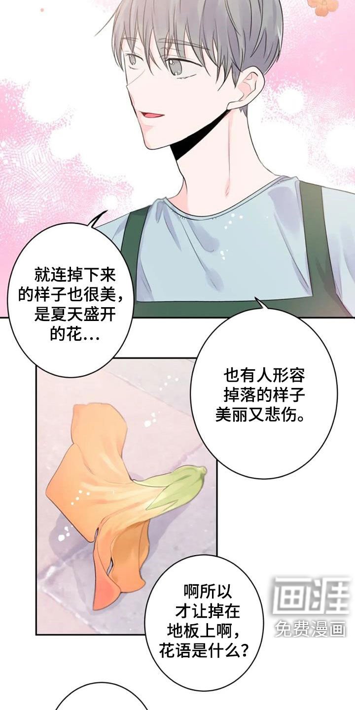 第25章：花语