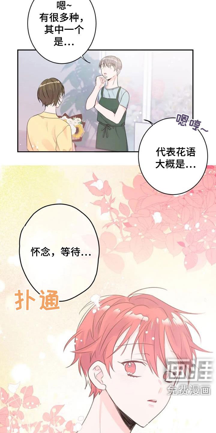 第25章：花语