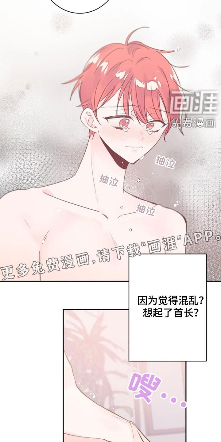 第26章：怀抱