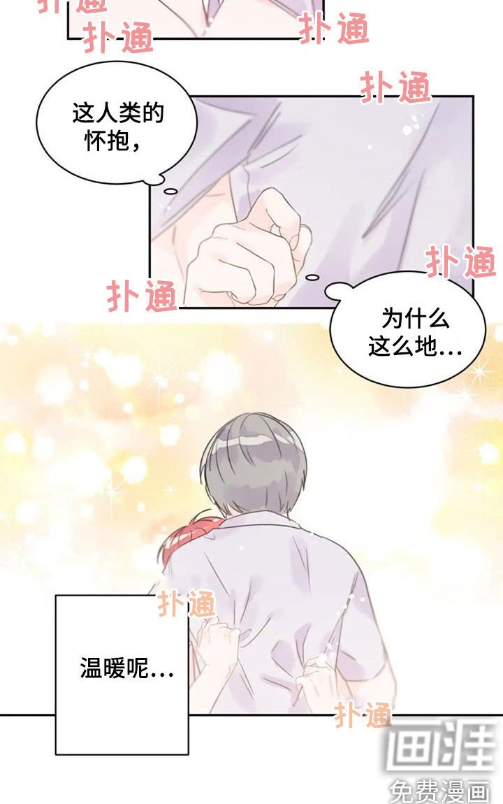 第26章：怀抱