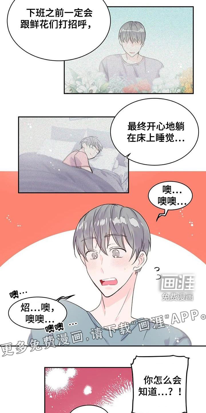 第29章：情意