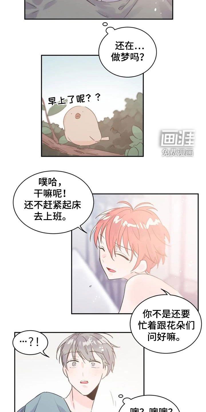 第32章：不是梦