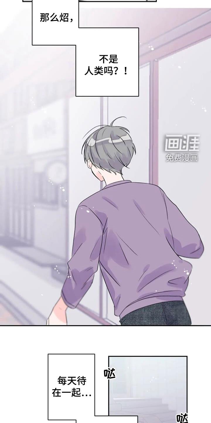 第32章：不是梦