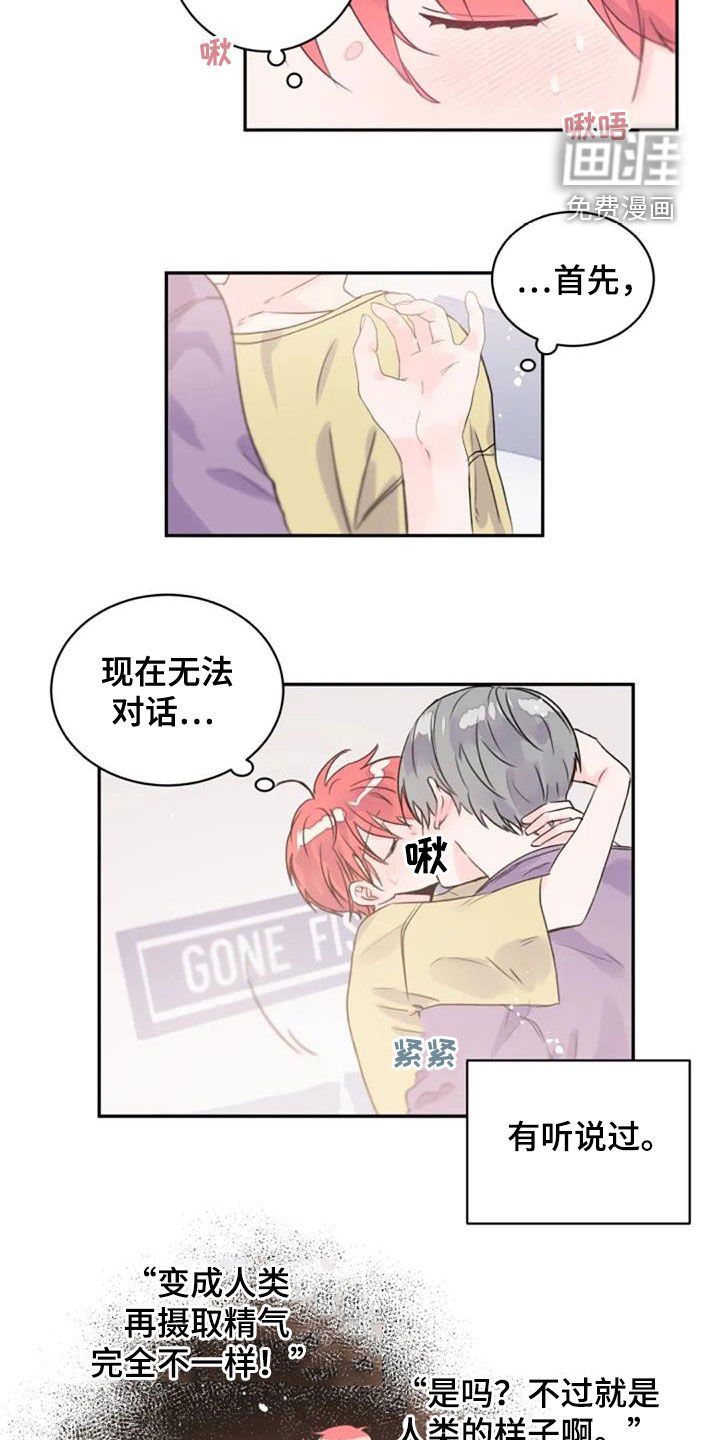 第33章：人类