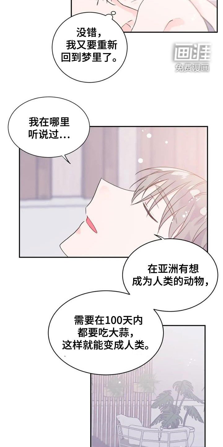第33章：人类