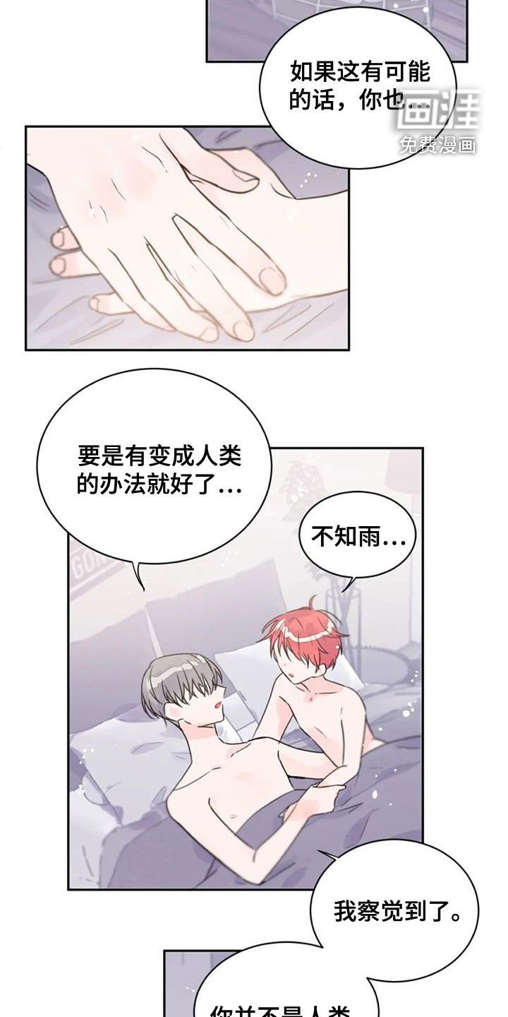 第33章：人类