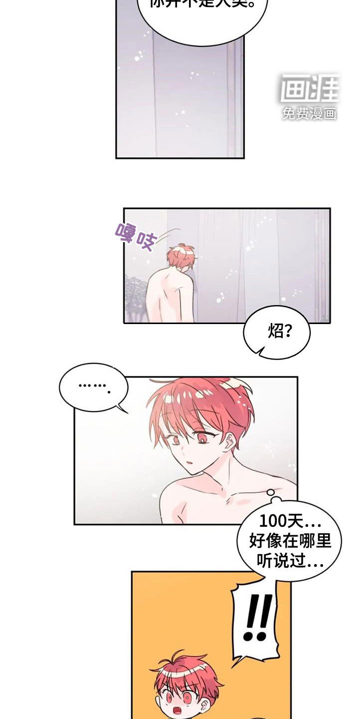 第33章：人类