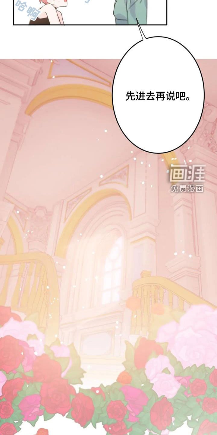 第34章：是爱吗