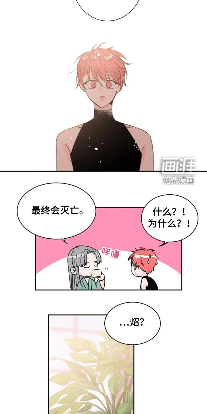 第34章：是爱吗