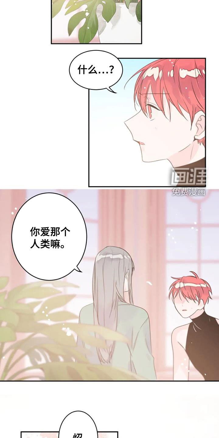 第34章：是爱吗