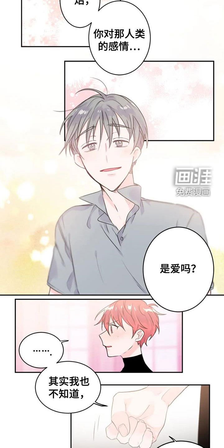 第34章：是爱吗