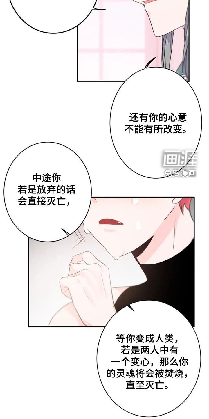 第35章：度过100天