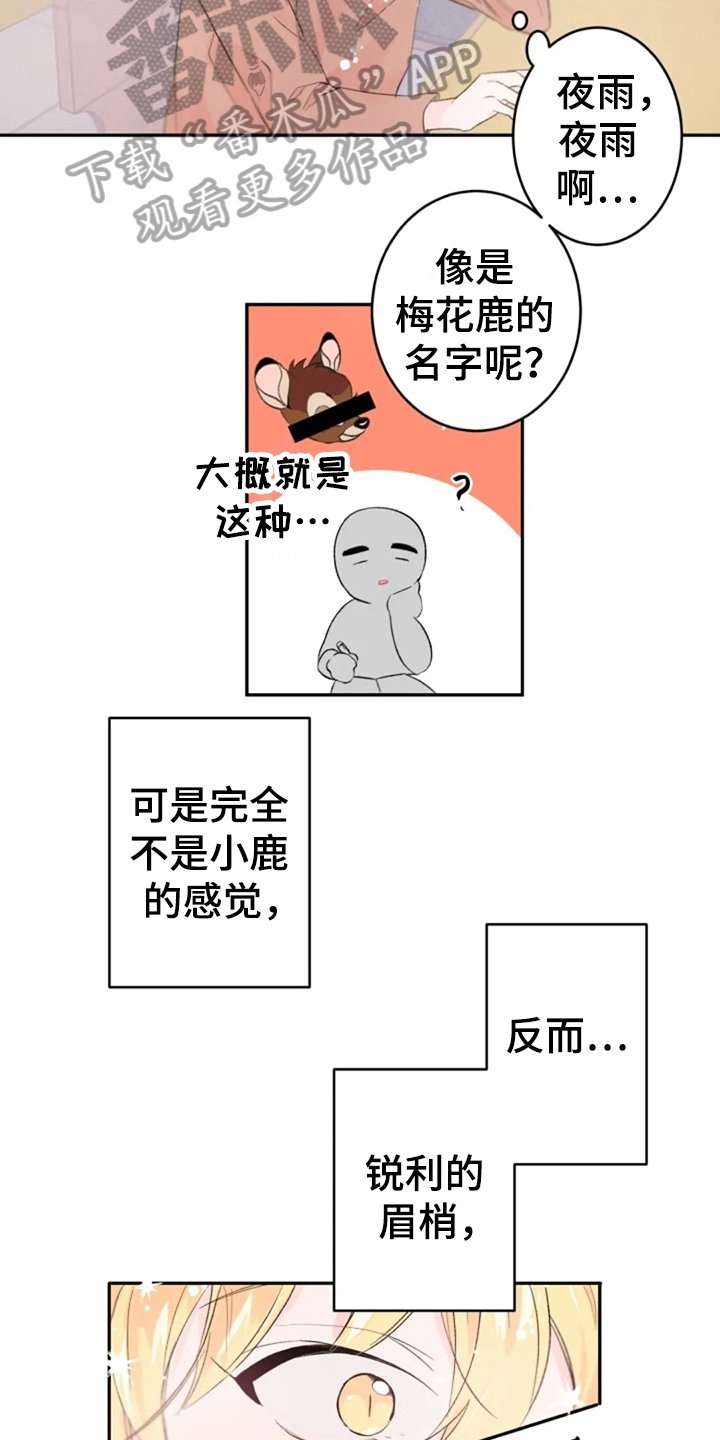 第5章：想念