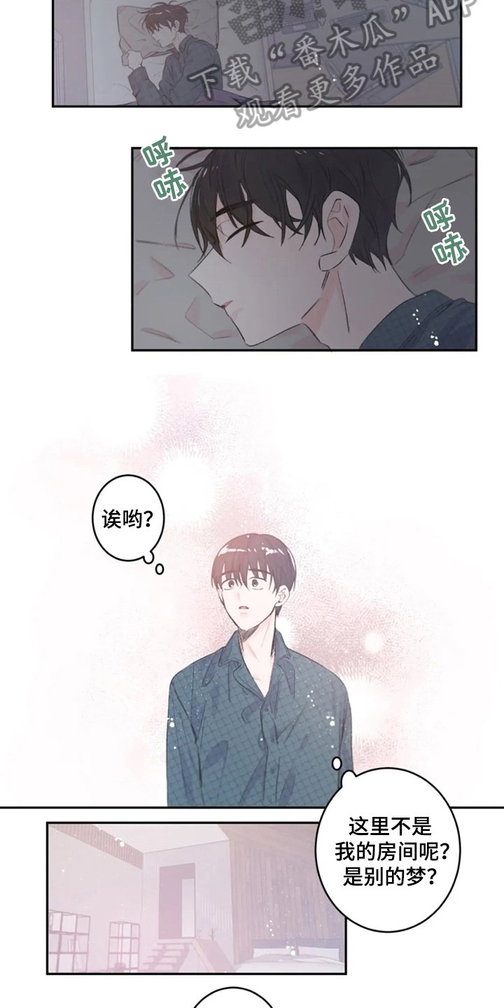 第7章：解释