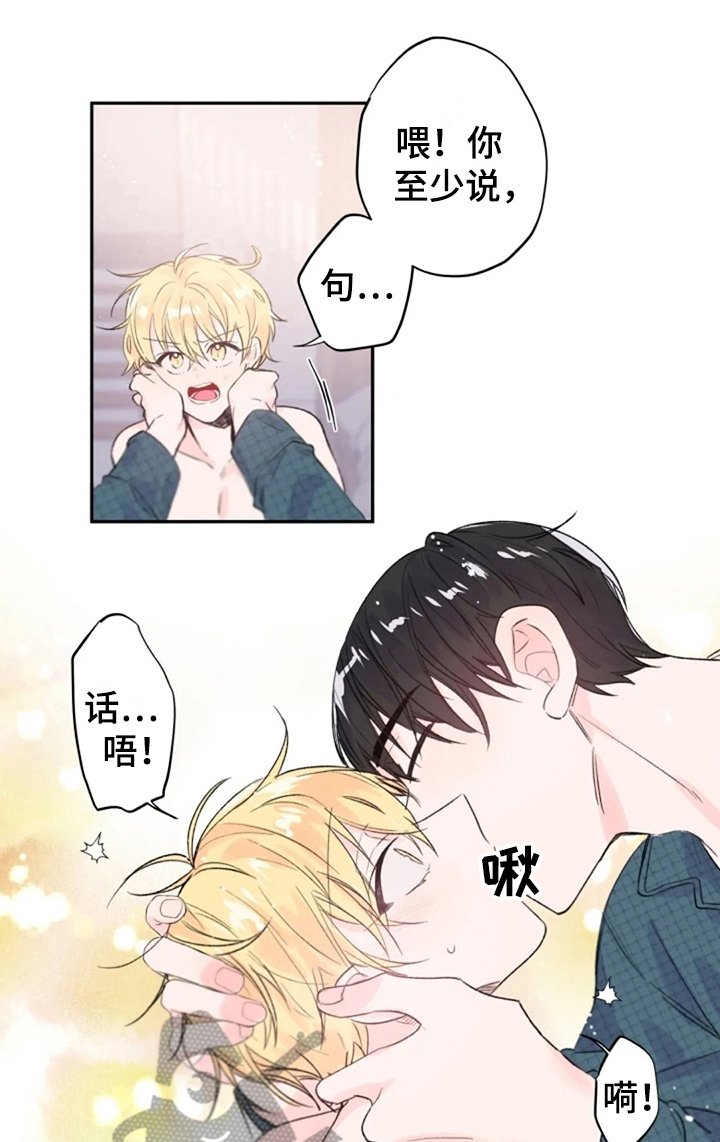 第7章：解释