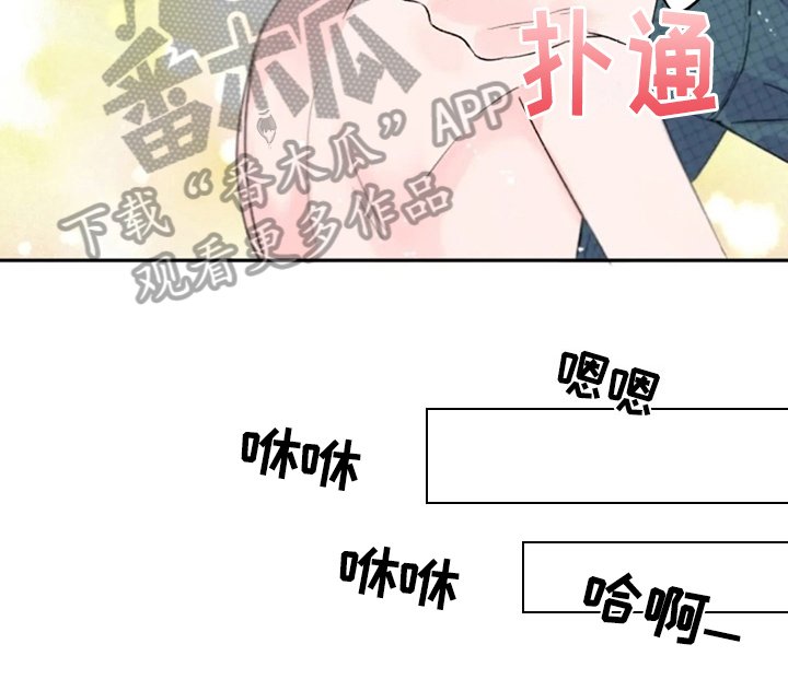 第7章：解释