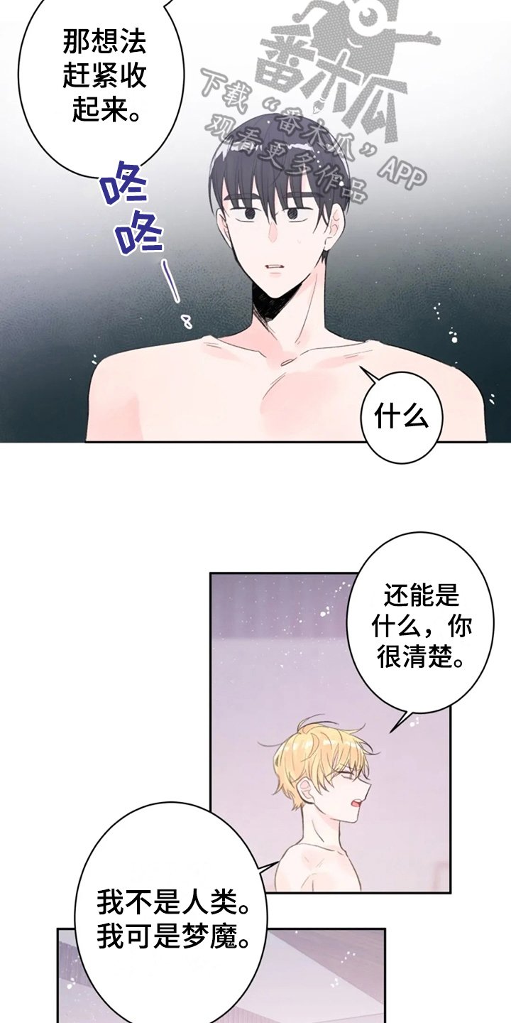 第7章：解释