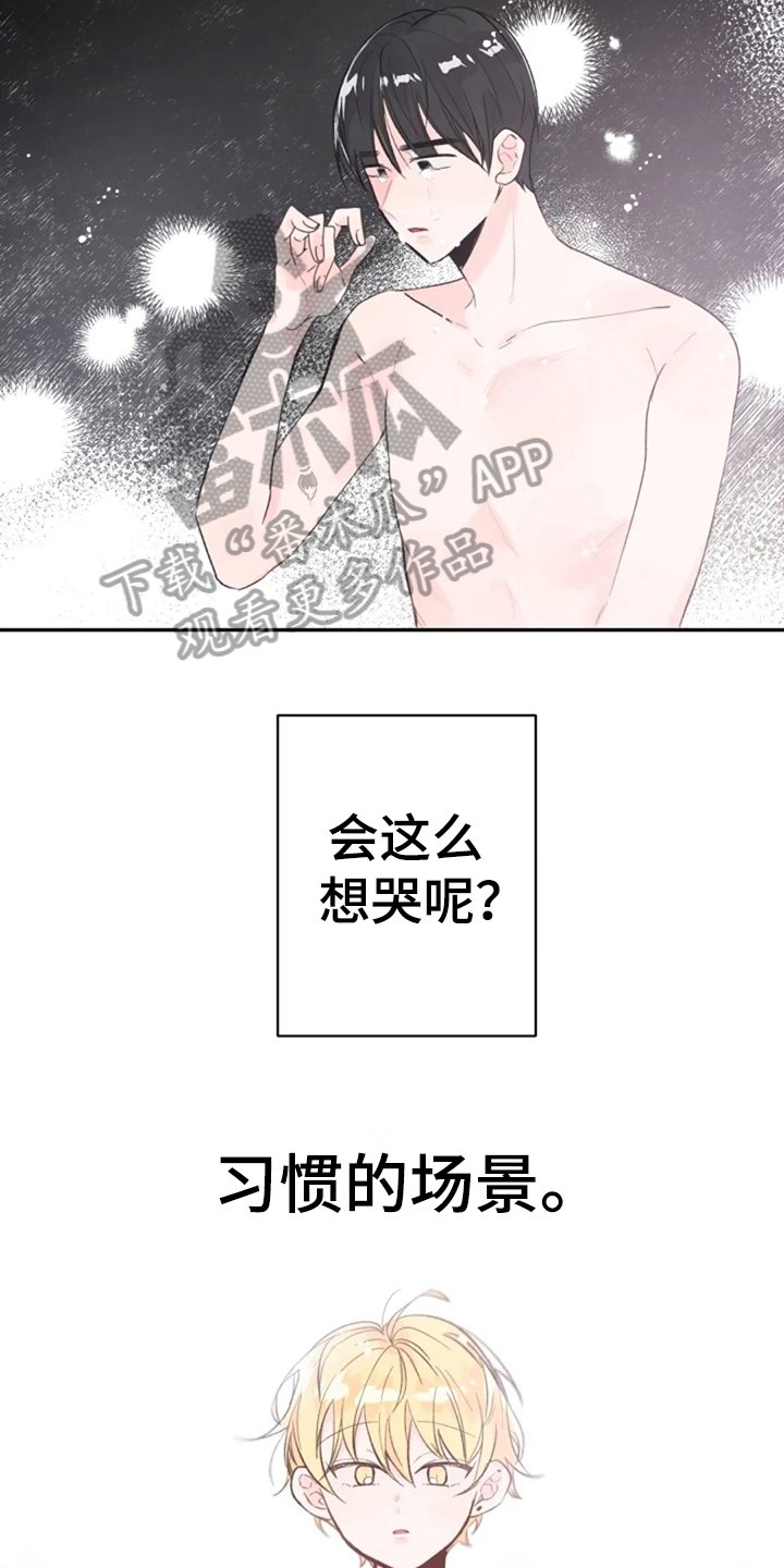 第7章：解释