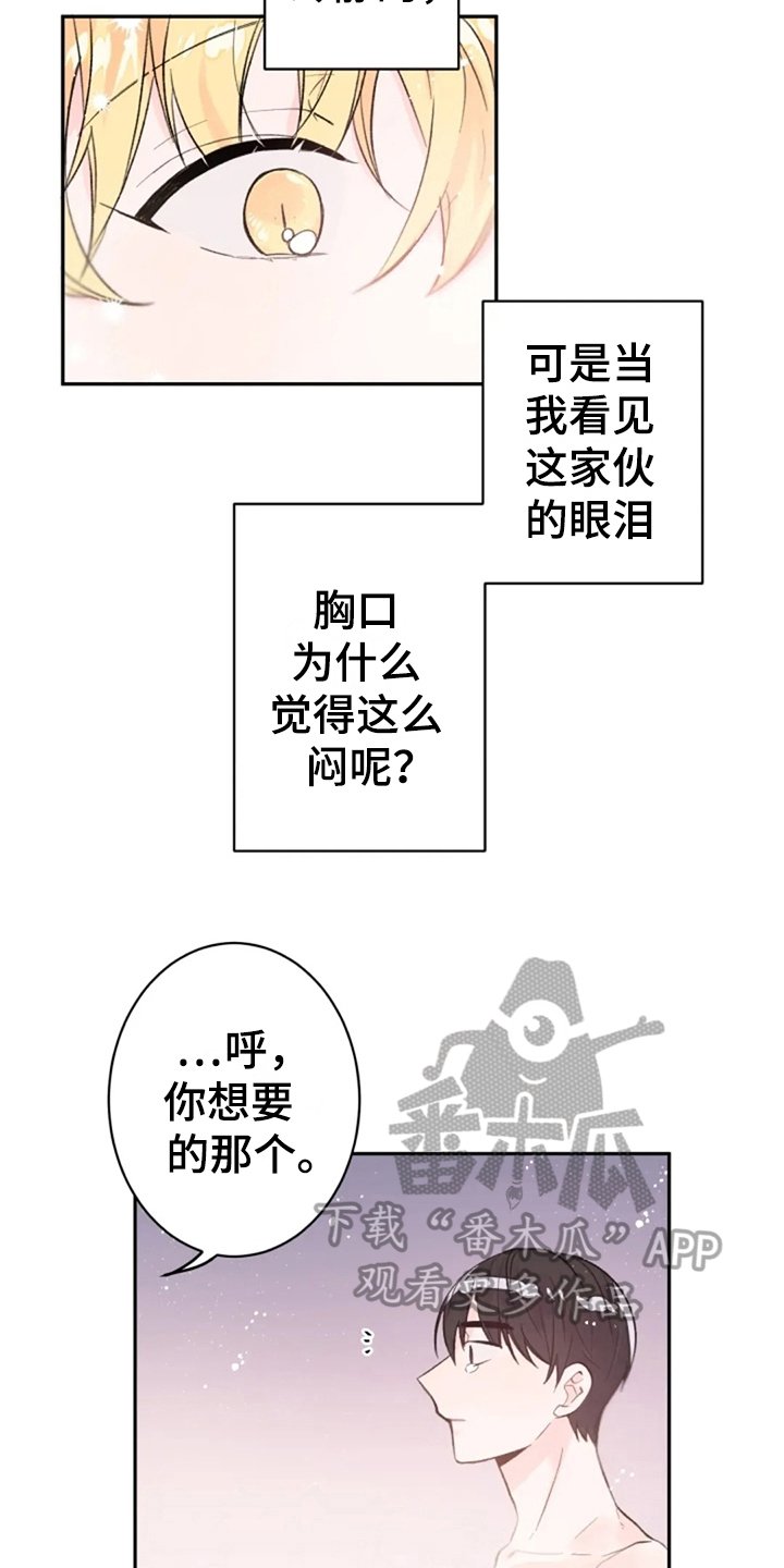 第7章：解释