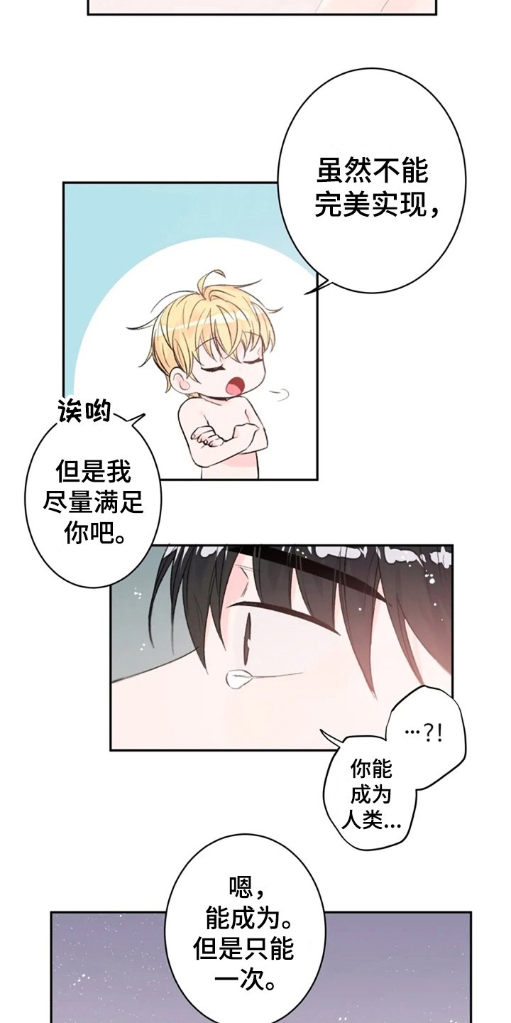第7章：解释