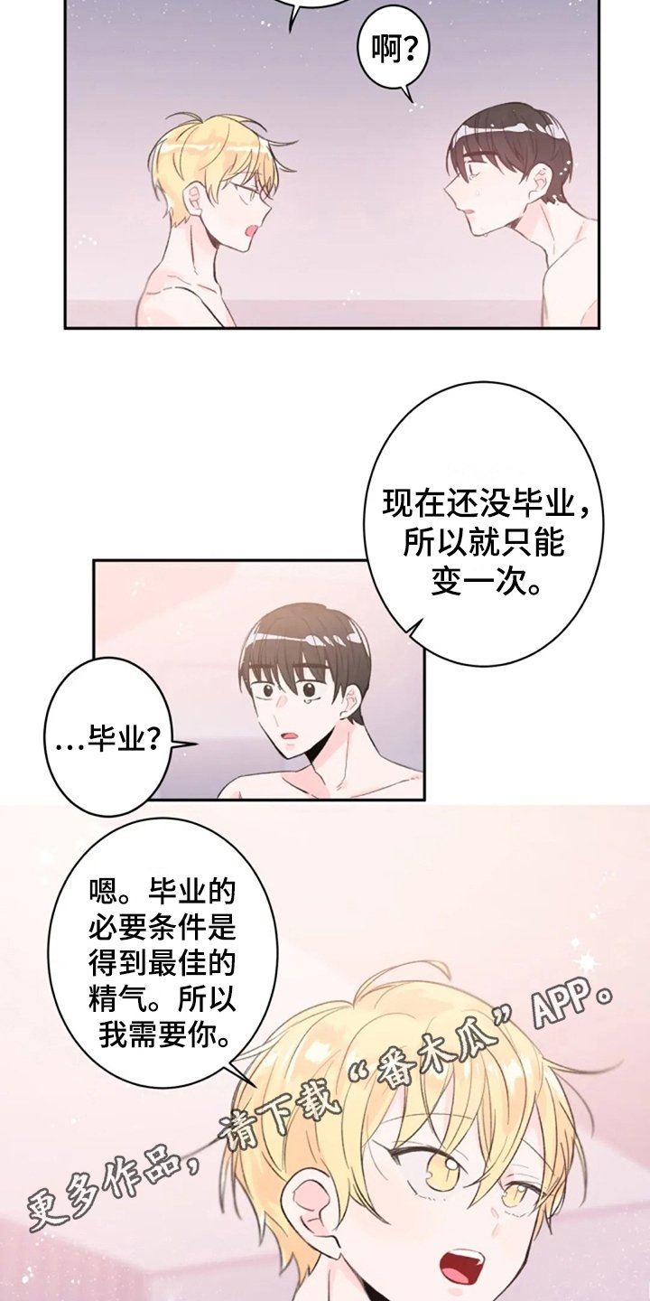 第7章：解释