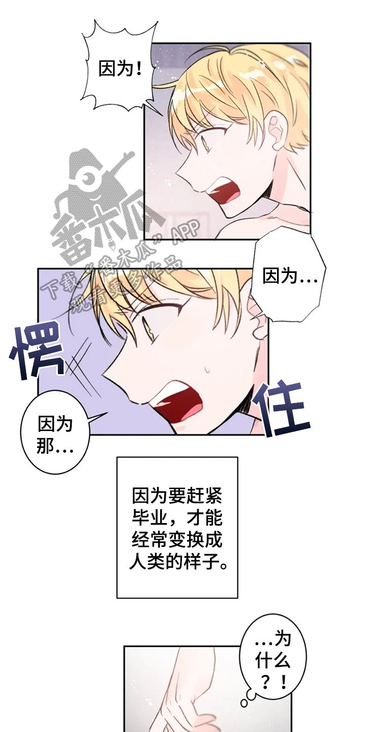 第8章：惊讶