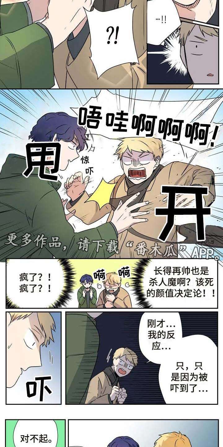 第13章：混淆