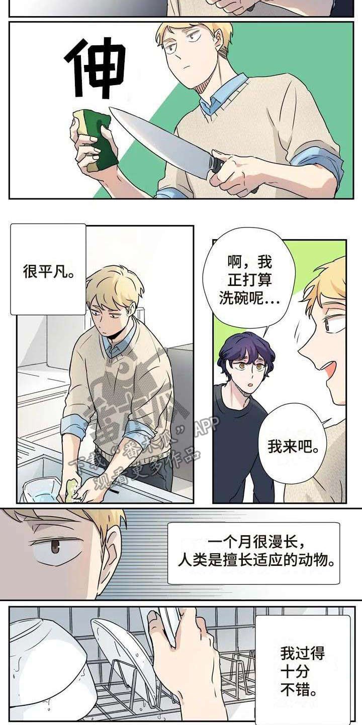 第13章：混淆
