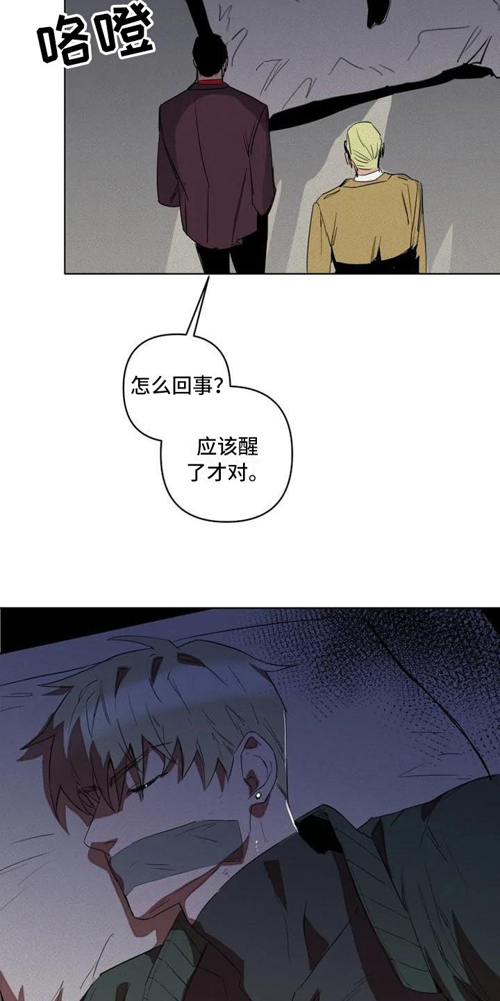 第1章：杀手