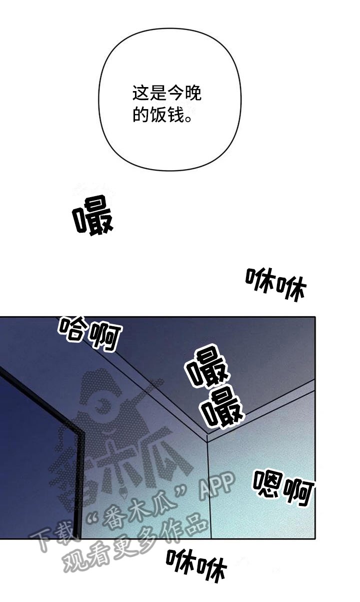第13章：信息