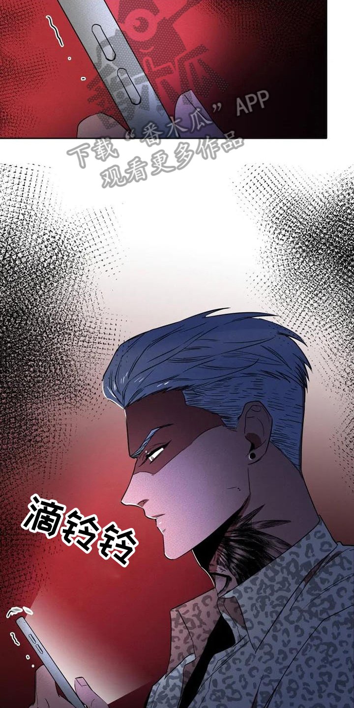 第13章：信息