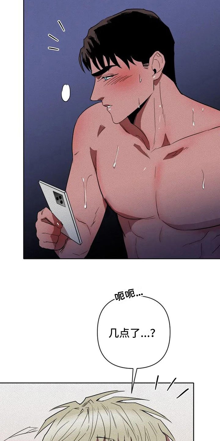 第13章：信息