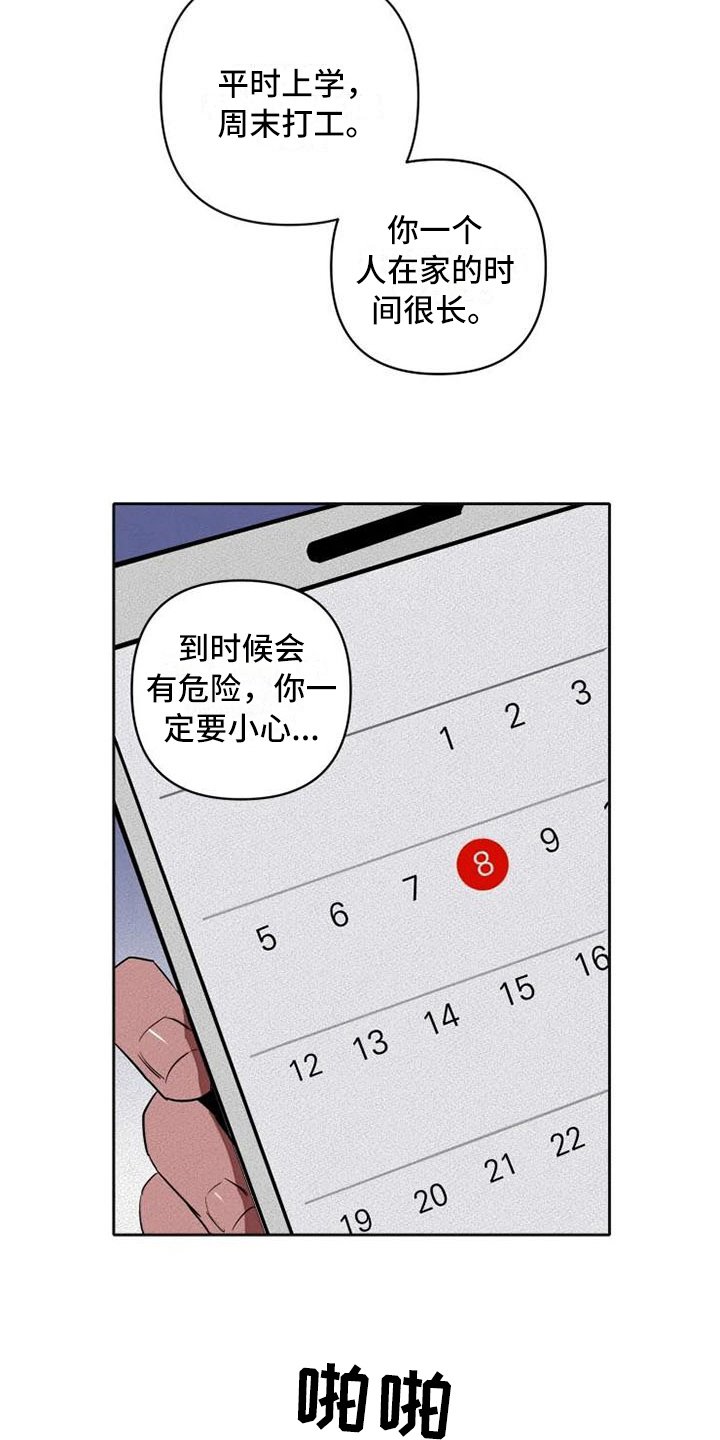 第14章：汇报