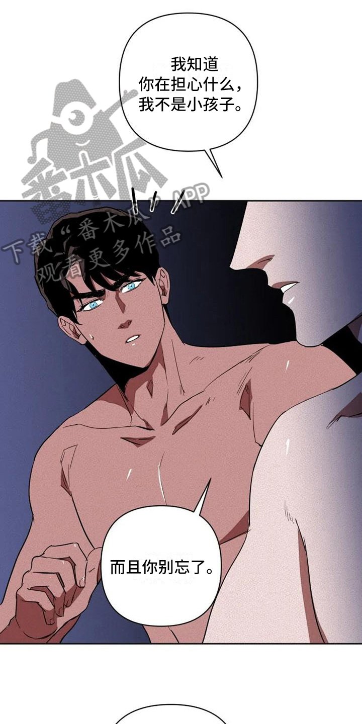 第14章：汇报