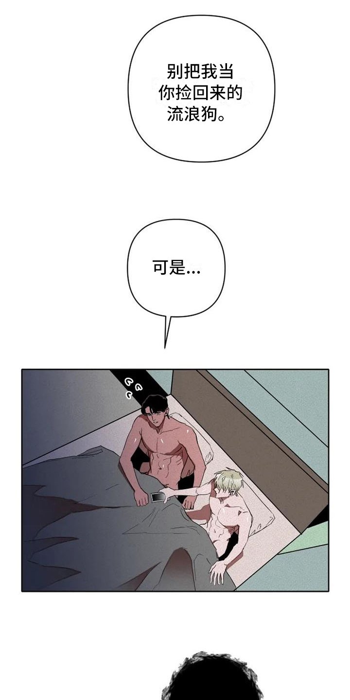 第14章：汇报