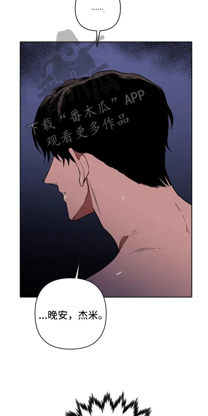 第14章：汇报