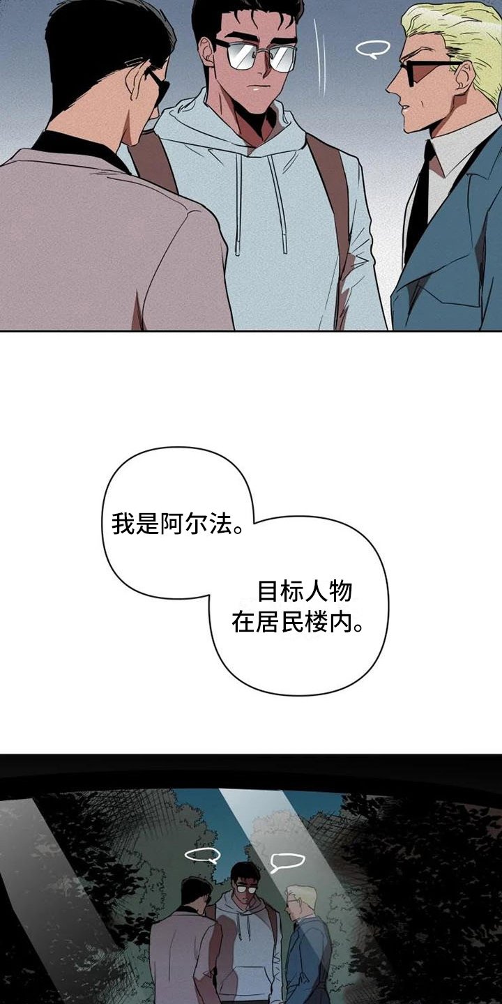 第14章：汇报