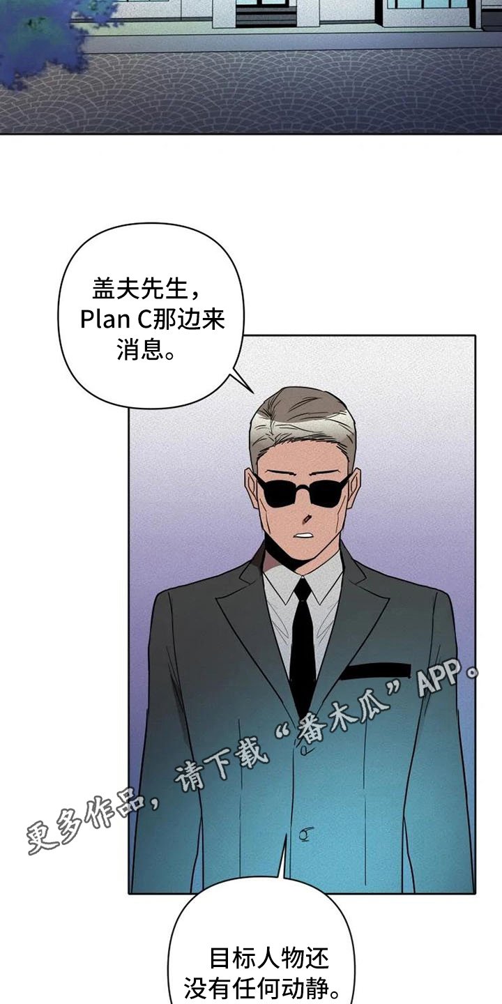 第14章：汇报