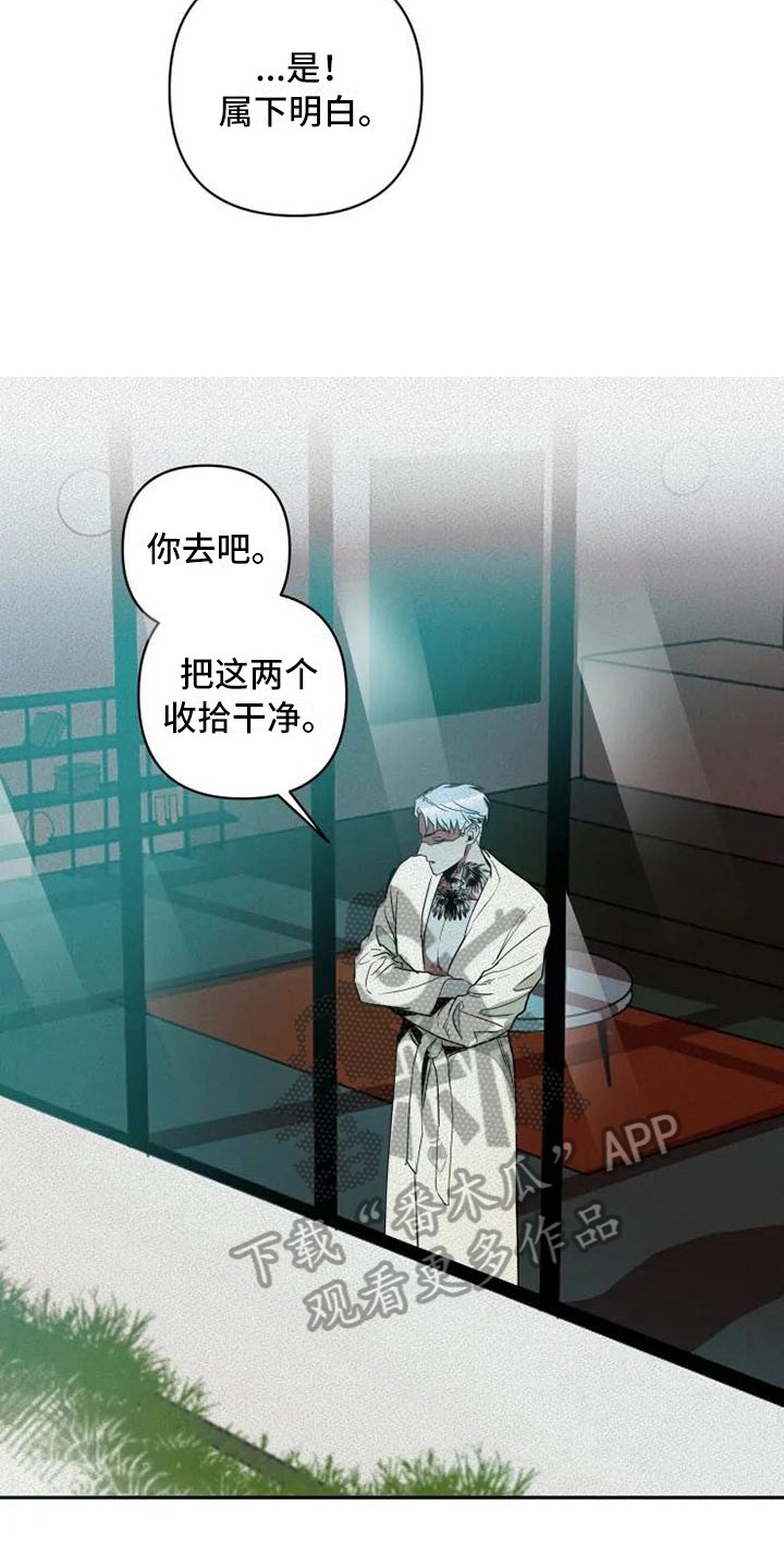 第15章：有意思
