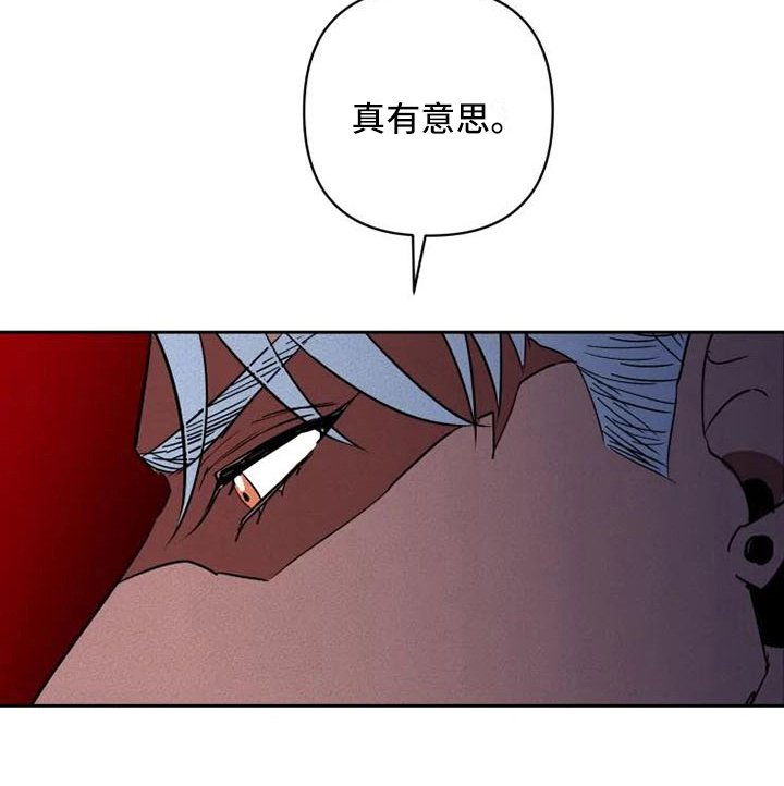 第15章：有意思