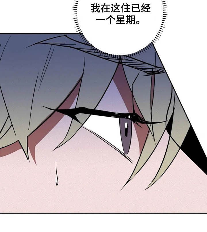 第16章：盯梢