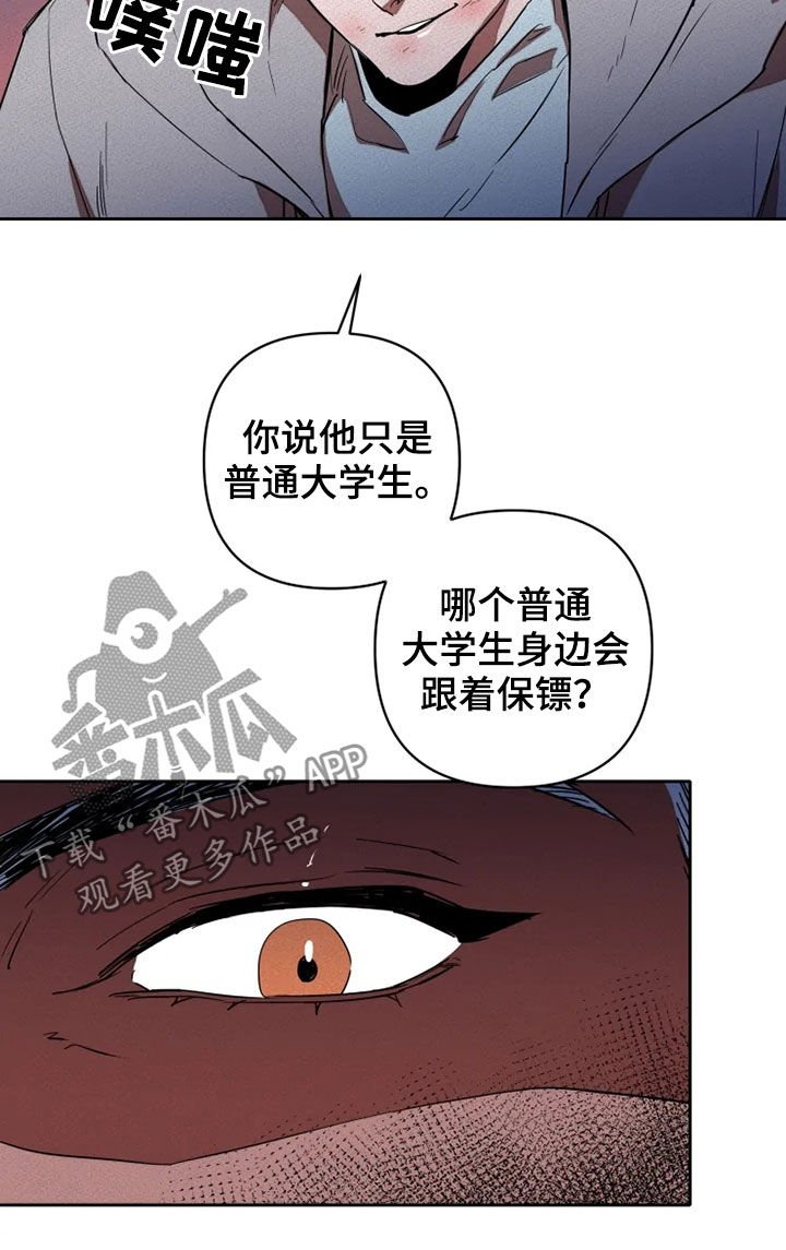 第18章：愚蠢