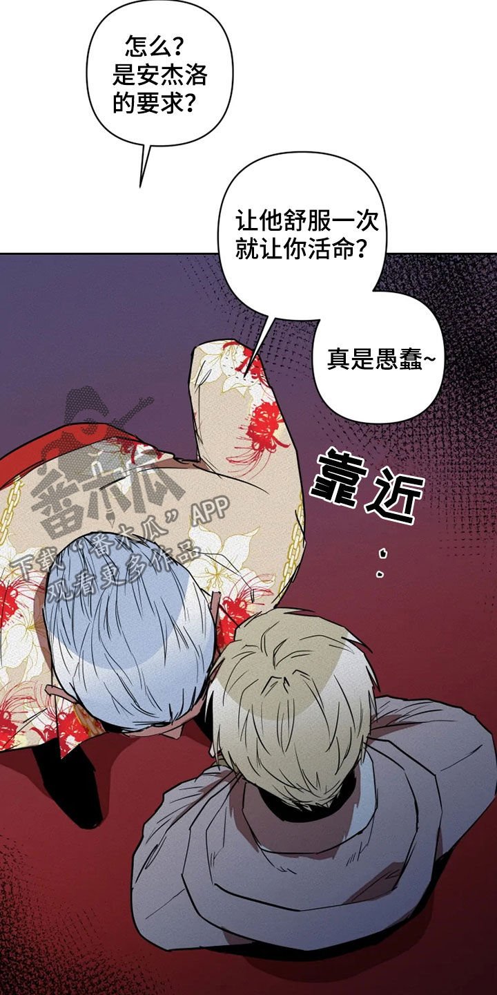 第18章：愚蠢